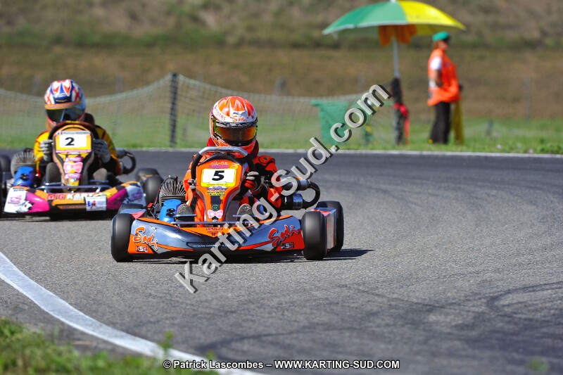 DSC_ (1567).jpg